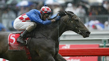 A Champion Becomes A Legend - Makybe Diva