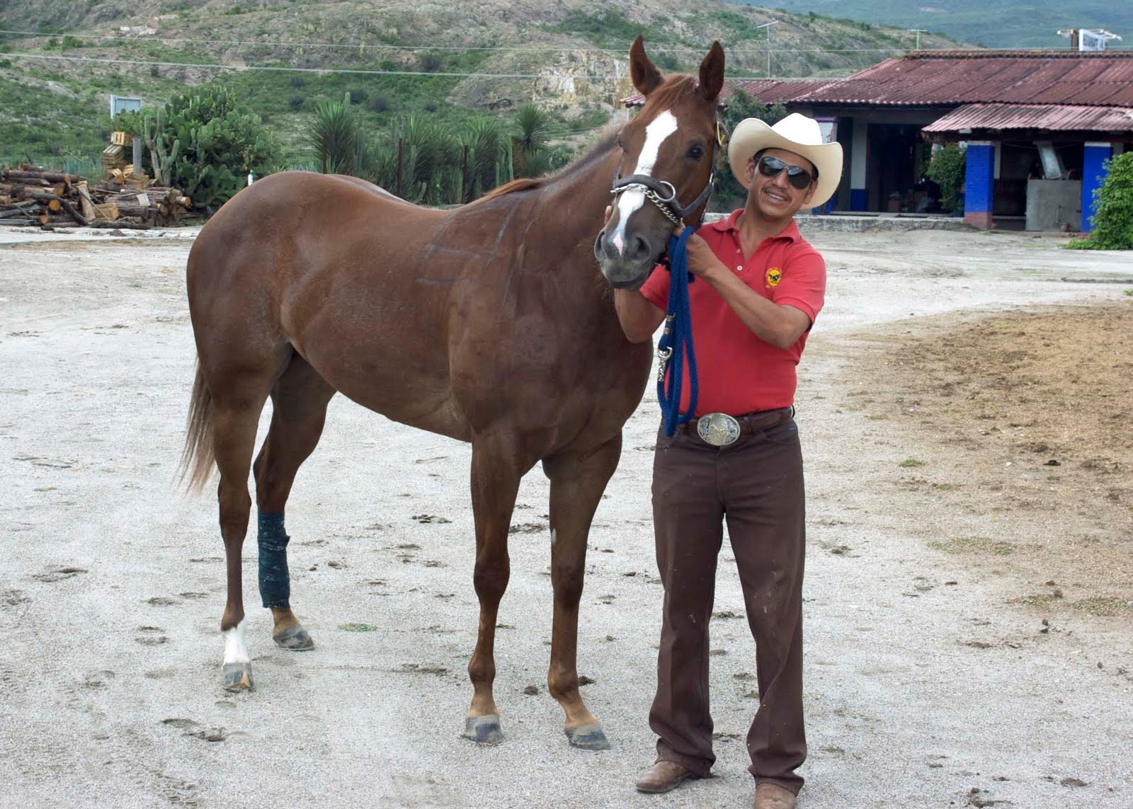 The Traveler Unaware For the horse folks... Mexican QH racing...