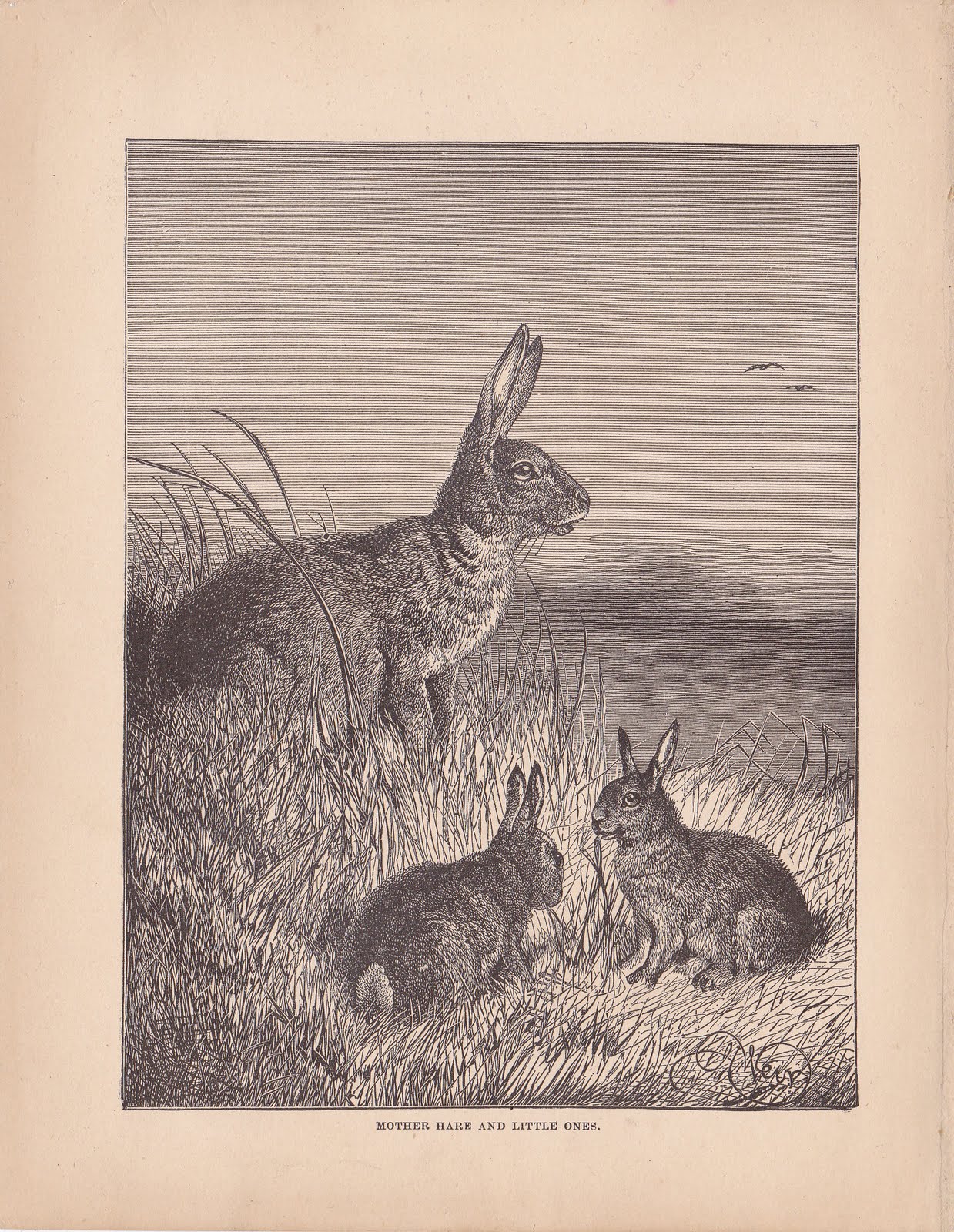 Sacred Cake by Jennifer Morford: Antique Rabbits for You Today