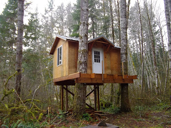 Gray and Amy's cool treehouse