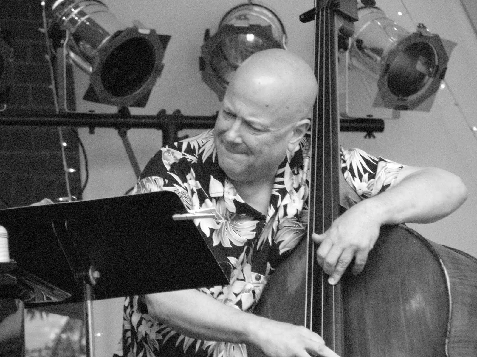 VISUAL SAINT PAUL Jazz Musicians Festival 3