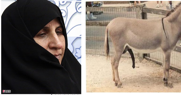 سکسی حیوان باانسان