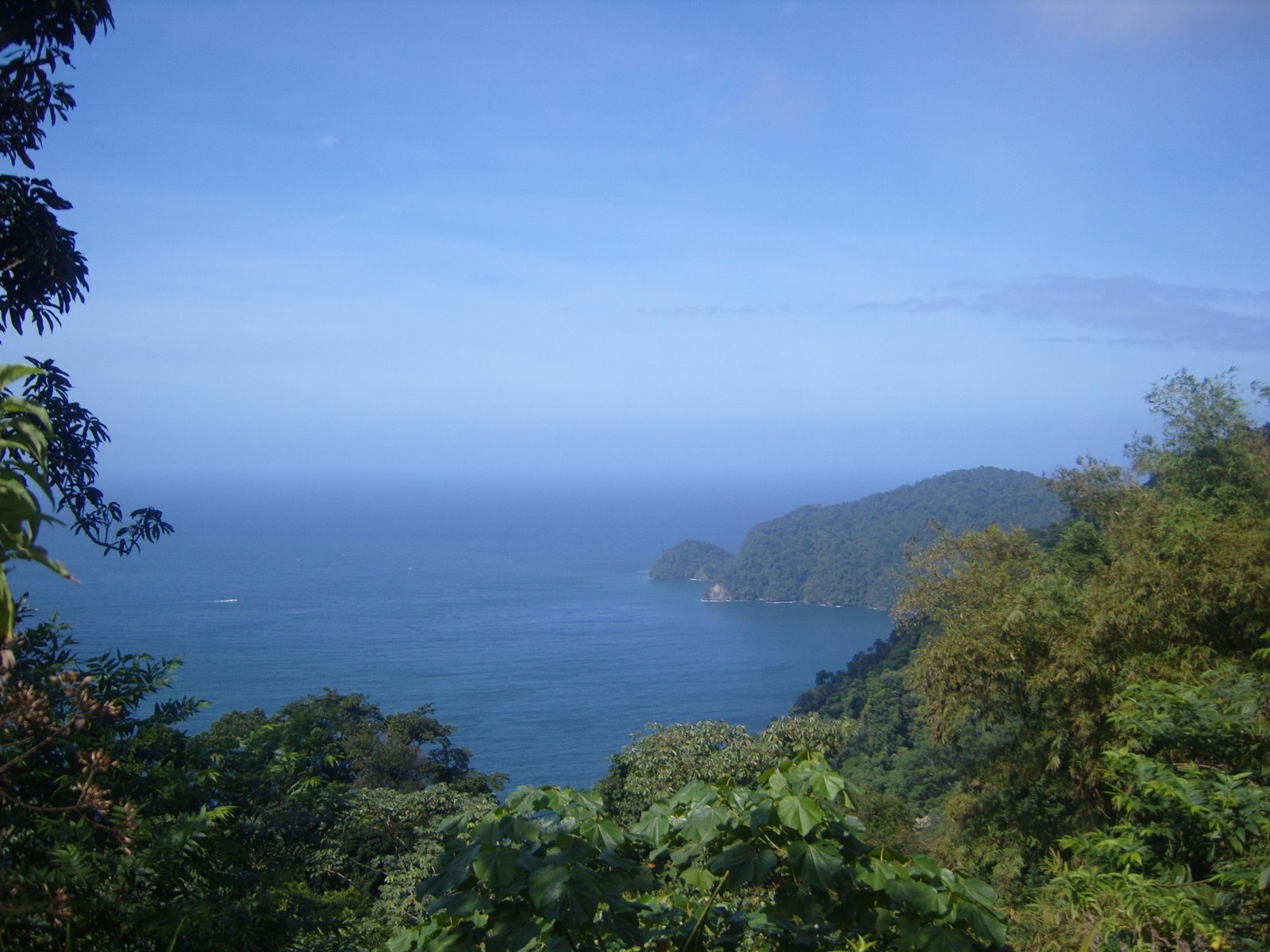 [S1031525.JPG]