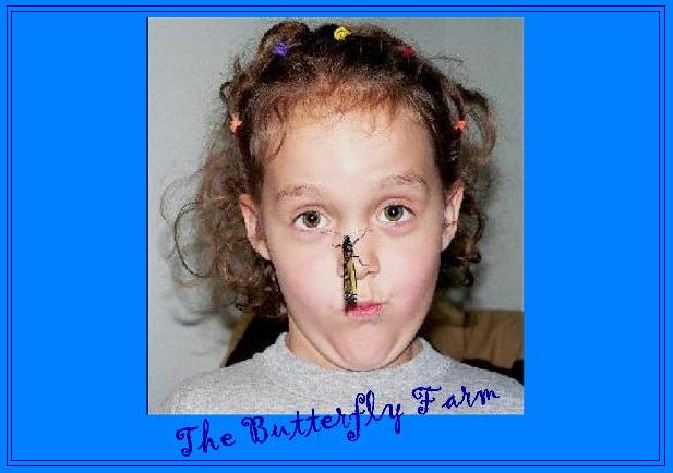 The Butterfly Farm