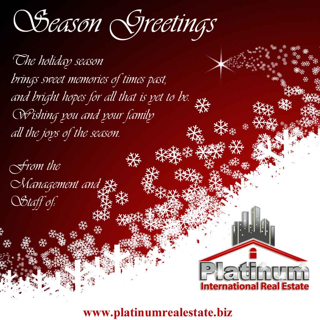Platinum International Real Estate and Investments - Belize Division ...