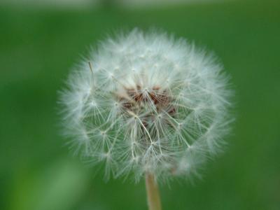 [sakit-mengadakan-persetubuhan.jpg]