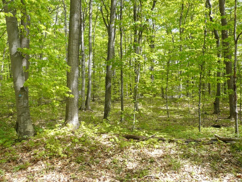 H2OME The Blog of Homewaters Real Estate Old Mission Peninsula Acreage 129,900