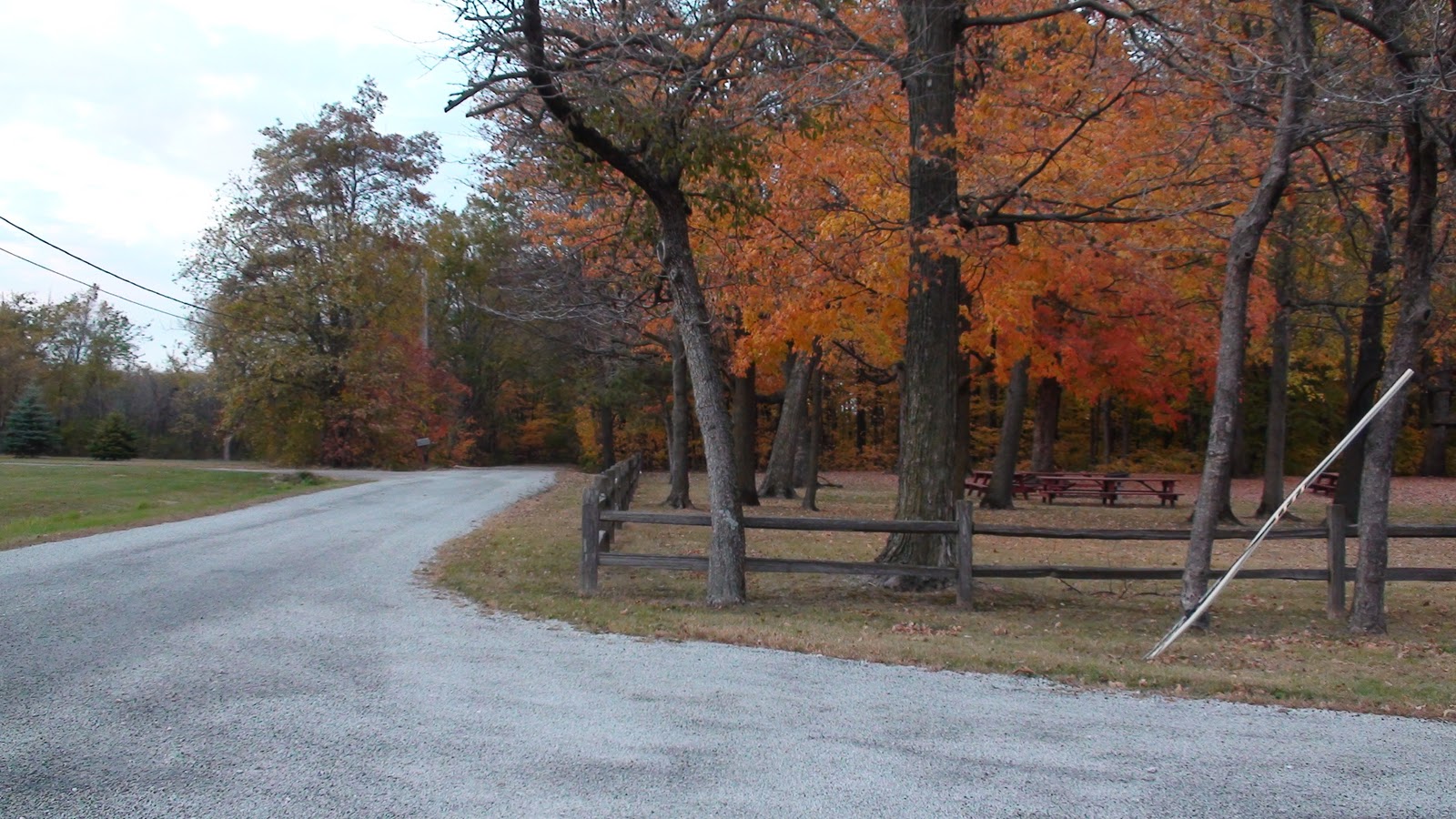 Beautiful Fall Colors at Gerdes Grove, Twelve Mile Grove in Wilton