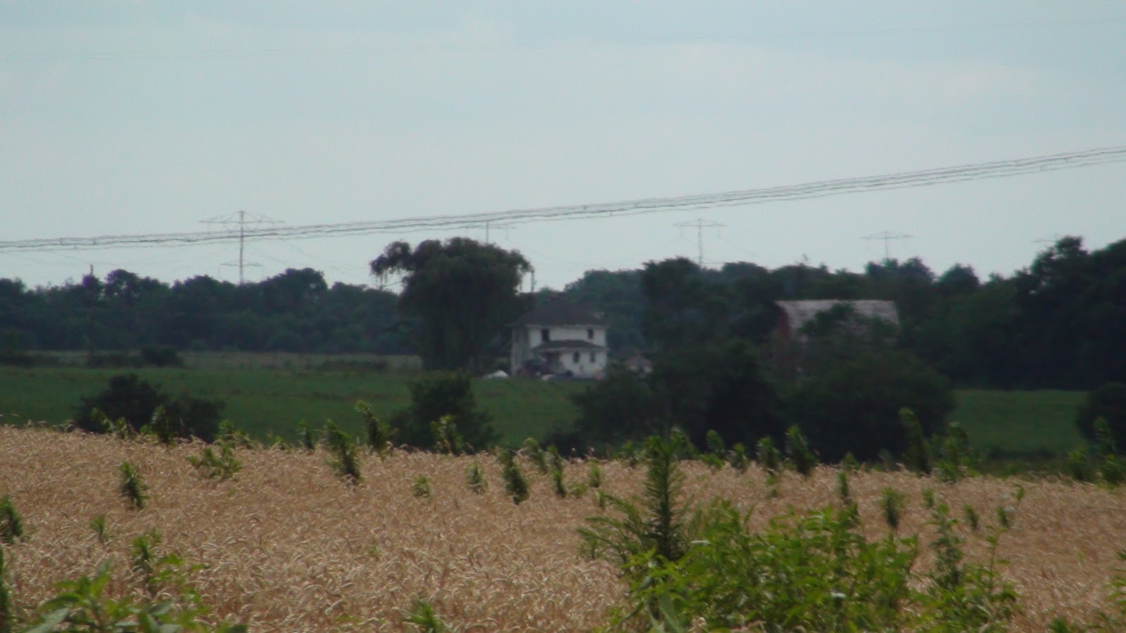 Will County News Will County Farmhouses from a Country Mile