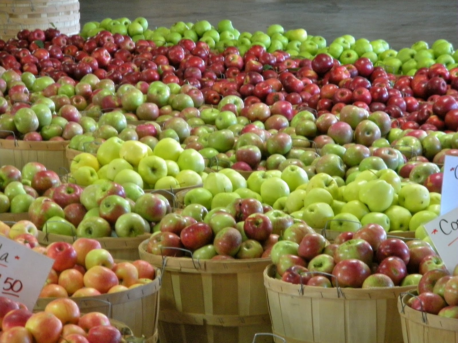 The Wright Place Apples Apples Everywhere! (Top Secret Recipe Included!)