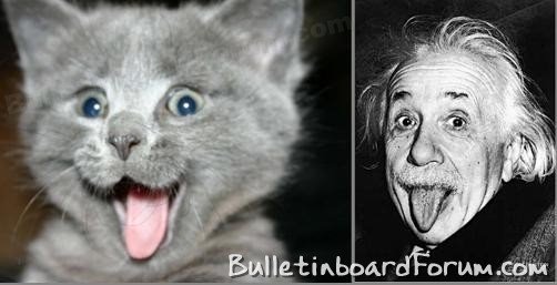 [einstein's+cat.bmp]