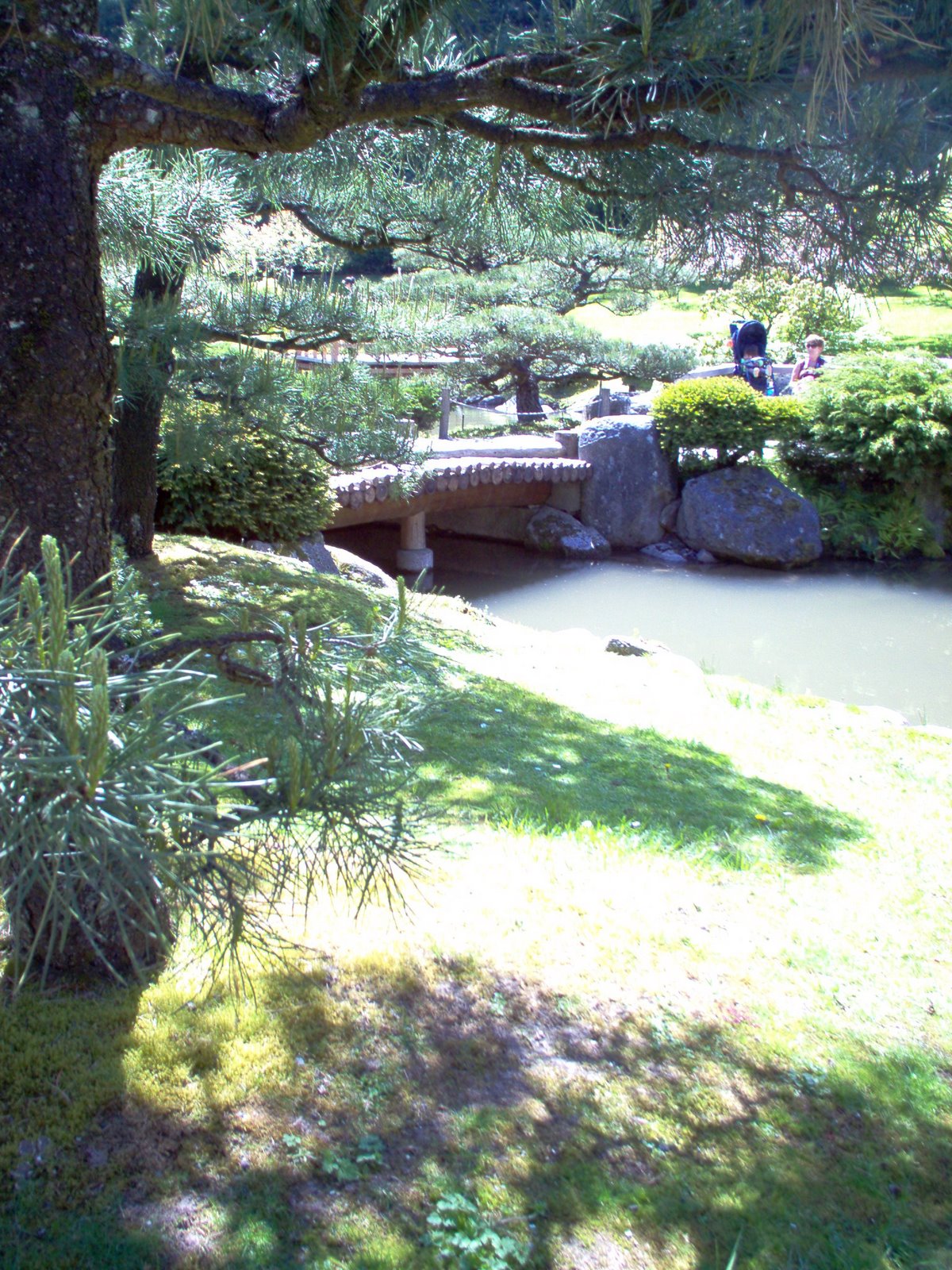 [IM000275.JPG]