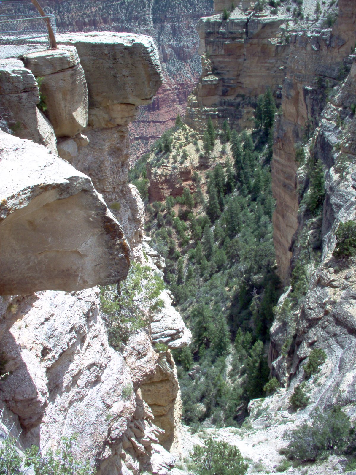 [IM000974.JPG]