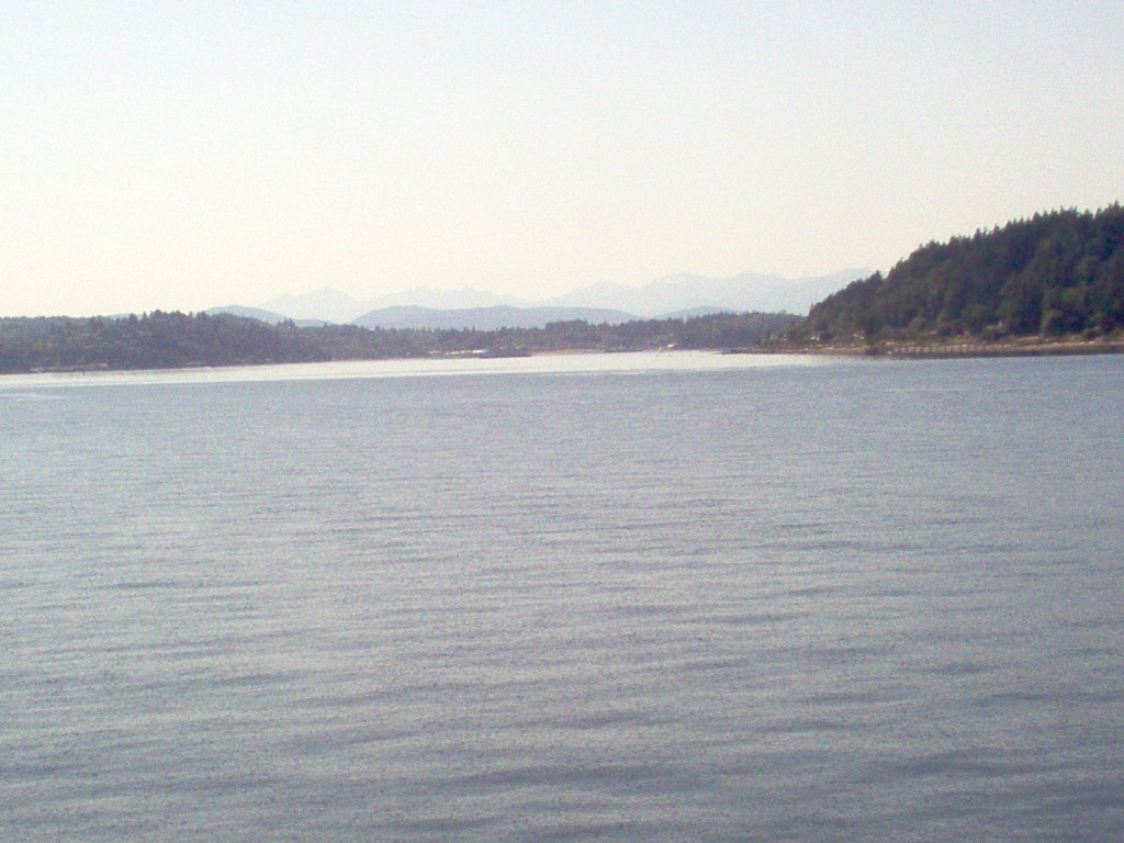 [IM000323.JPG]