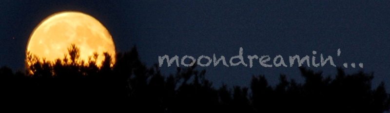 moondreamin'...