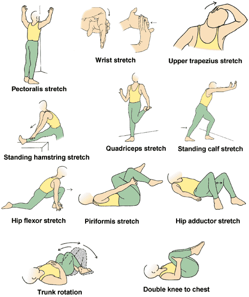 Printable Stretching Exercises For Seniors Repeat On The Other Side (d).