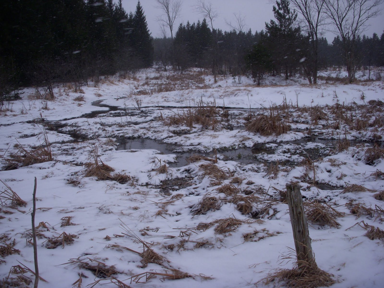 Seasons In The Valley Furry Gnome S Adventures Water And