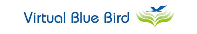 Official Virtual Blue Bird blog - virtual assistance services in London