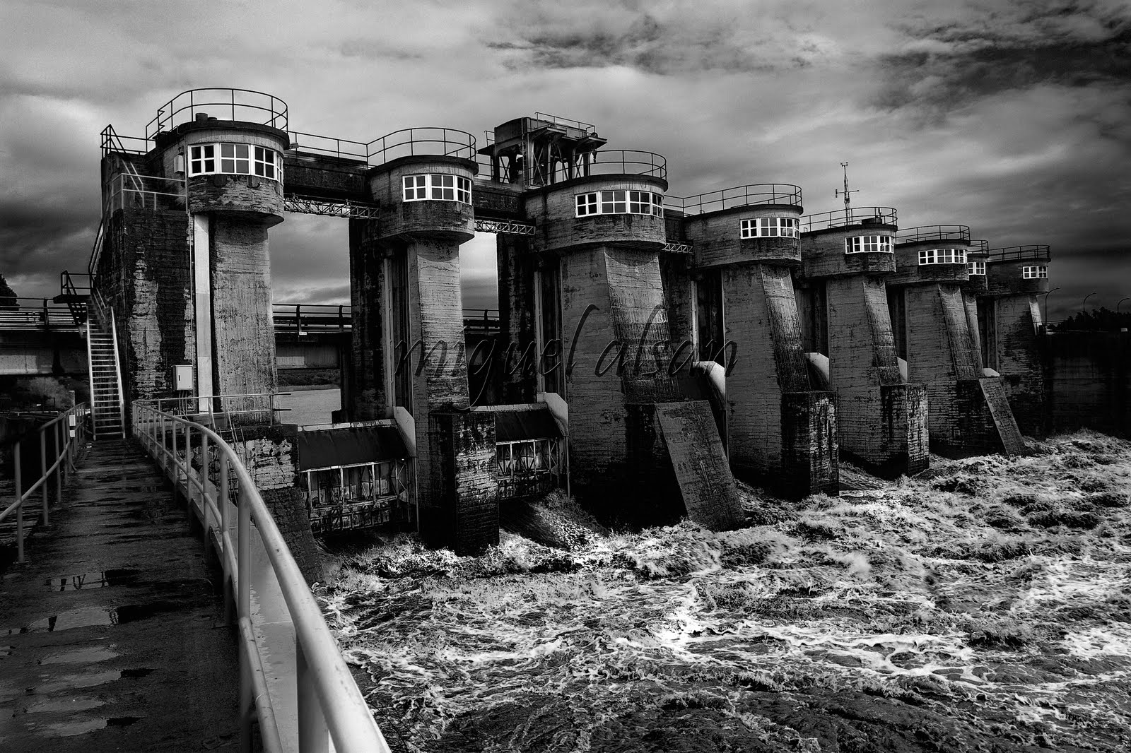 Miguel Alsan PRESA DE MONTIJO