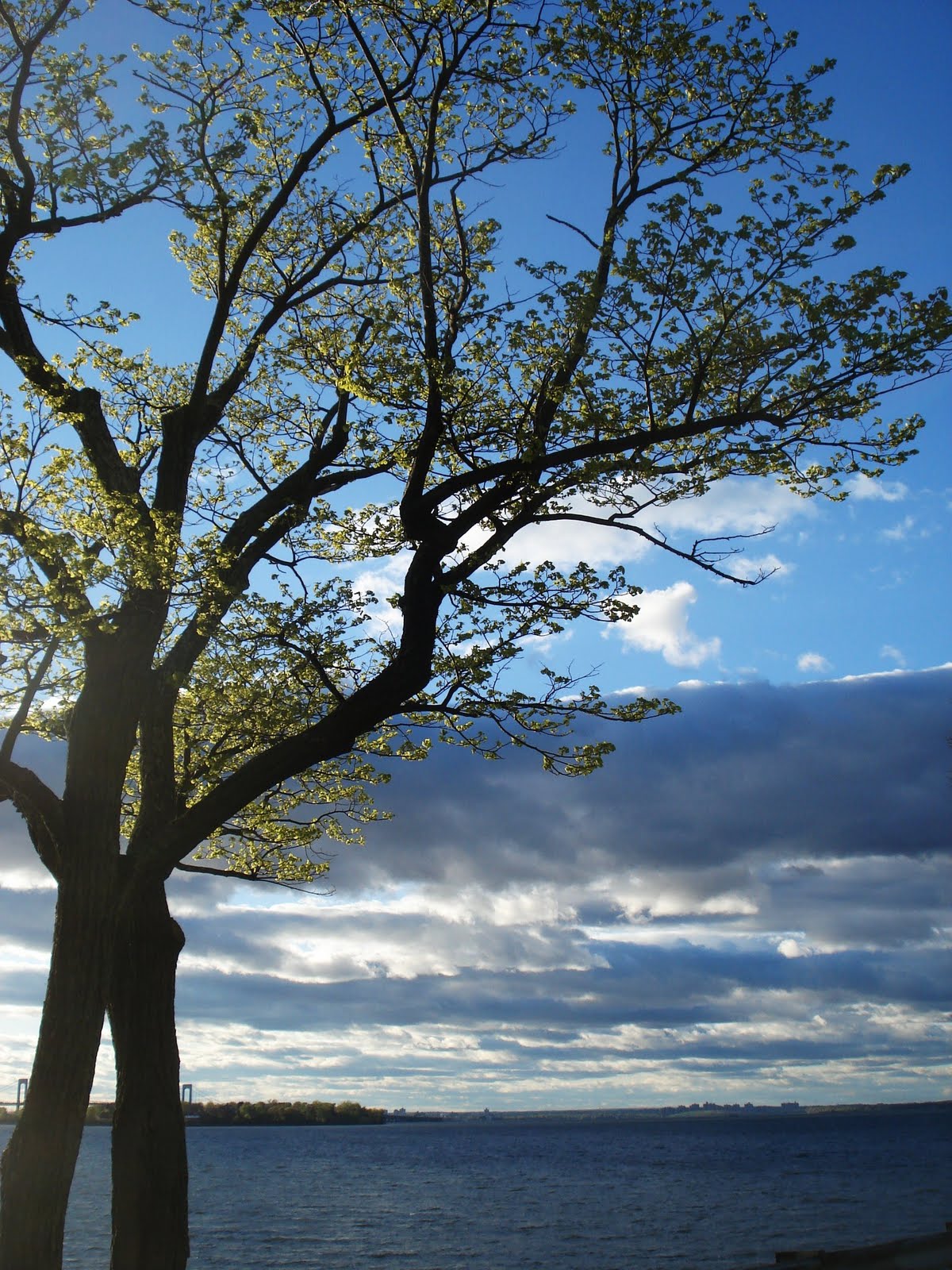 RG _ into the studio The Houses of Douglas Manor NY