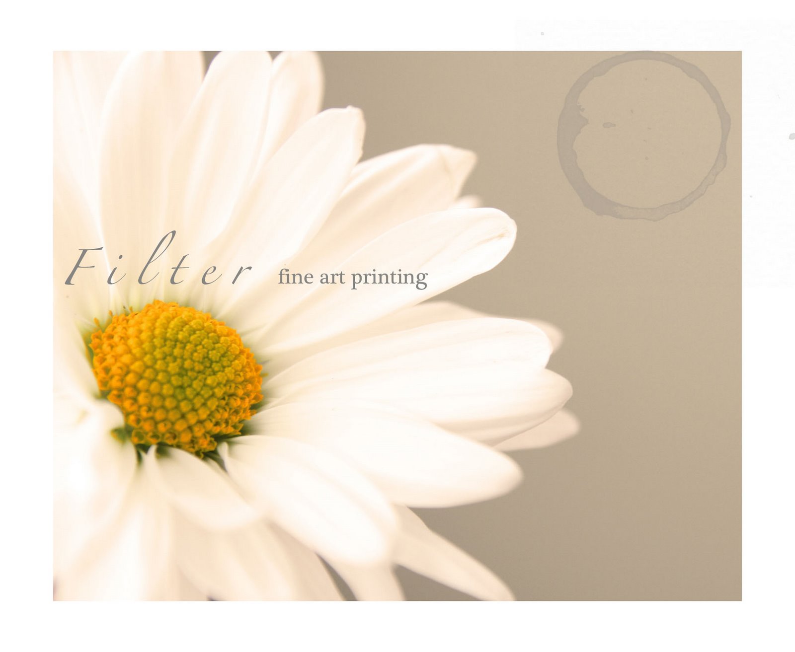 Filter fine arts