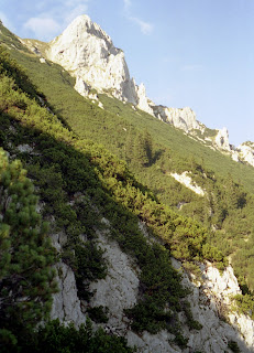 Wandern Höhenweg im Kaisertal - Zahmer Kaiser 22