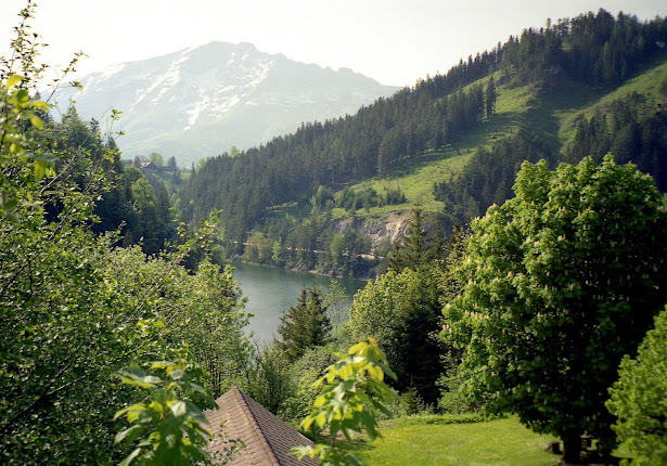 Naturpark Ötscher wandern Puchenstuben Tormäuer Ötschergräben