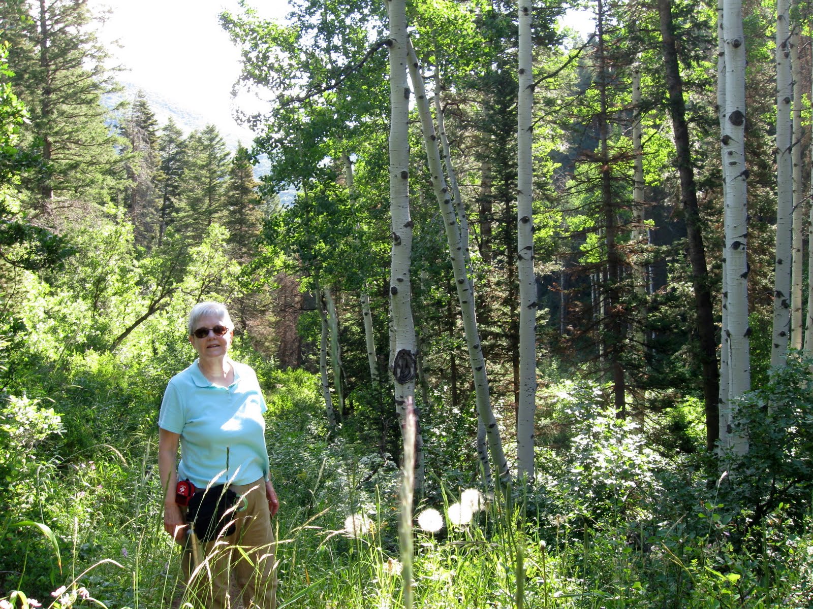 Anitra'sStories Lambs Canyon Trail