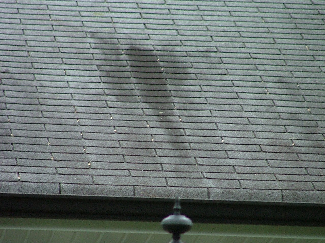 Black Spots on my Roof