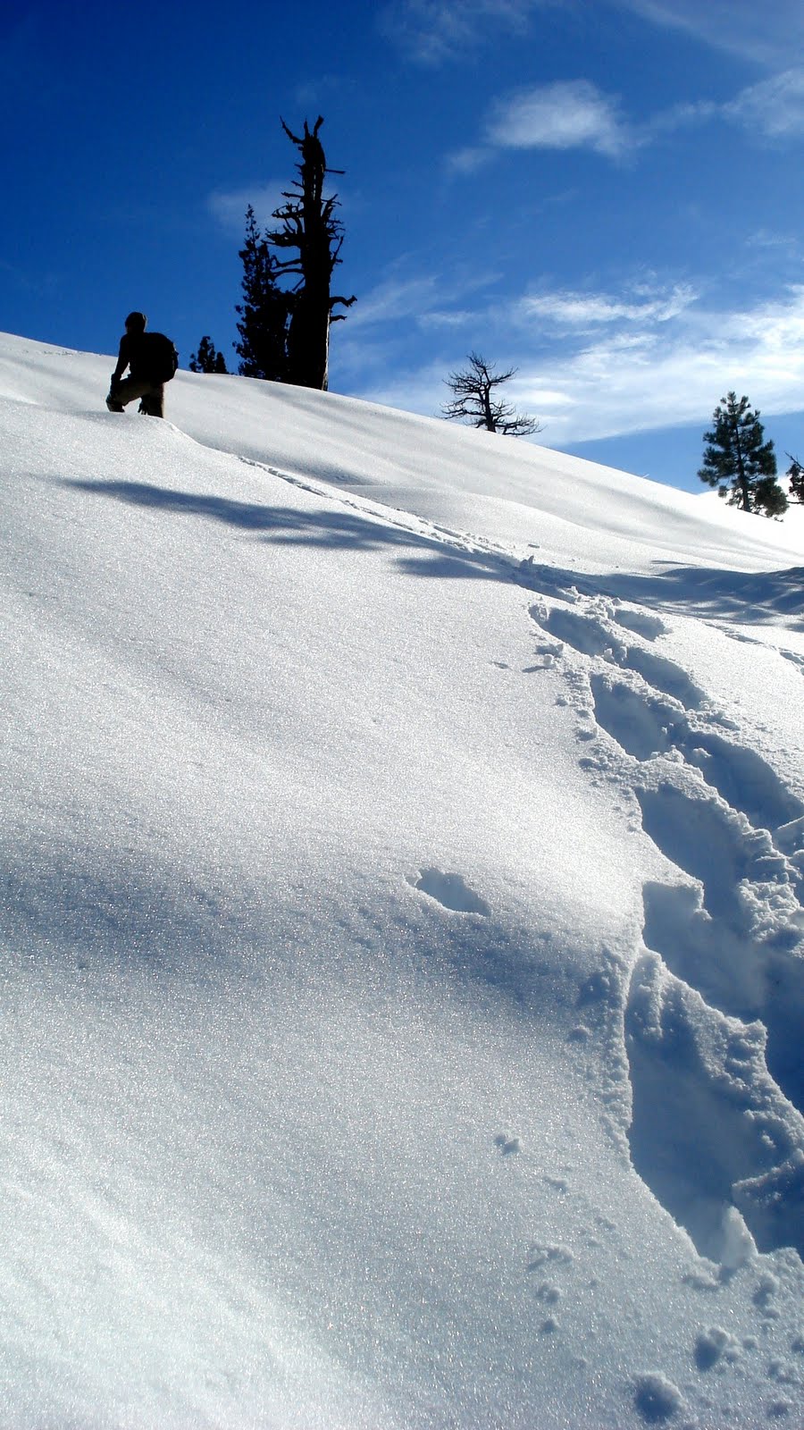 [Yosemite+2009+016.jpg]