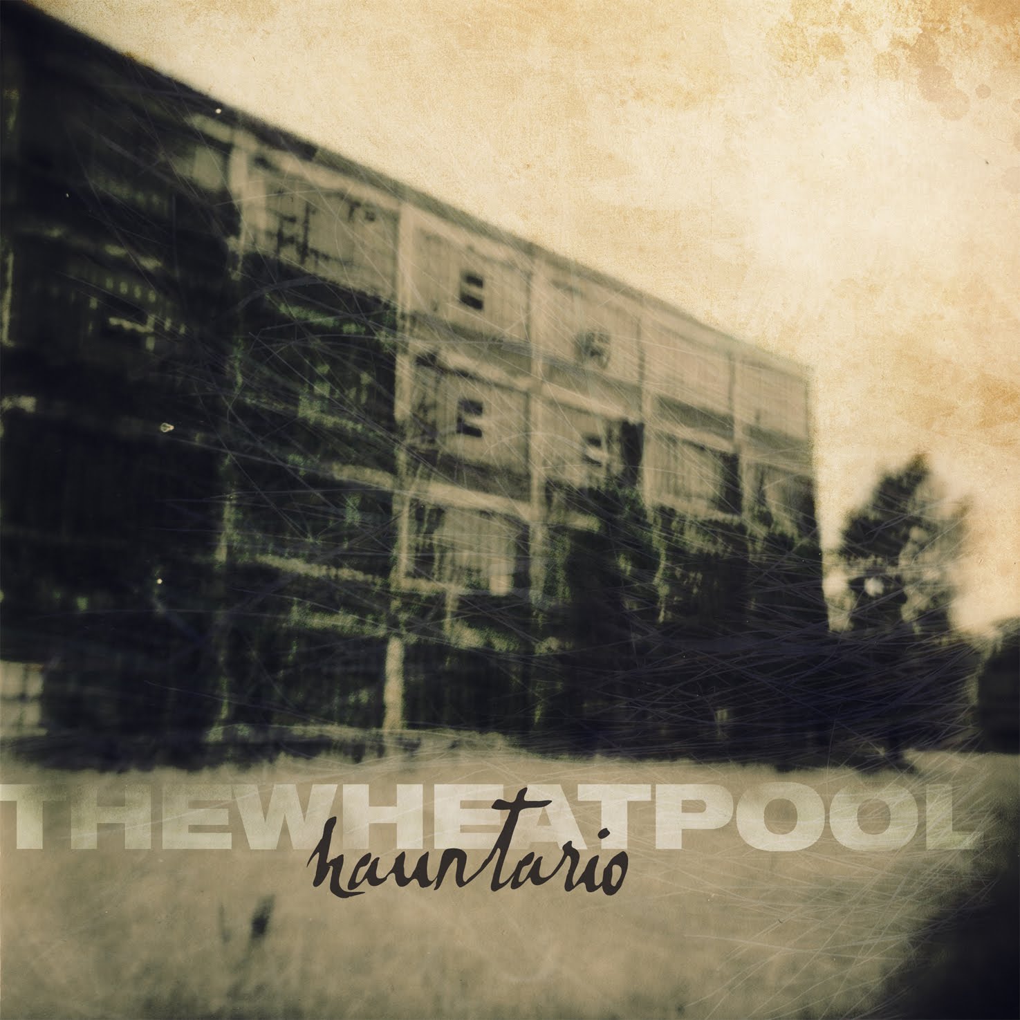 [thewheatpoolcover.jpg]