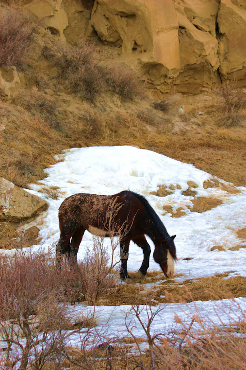 LONG, HARD WINTER