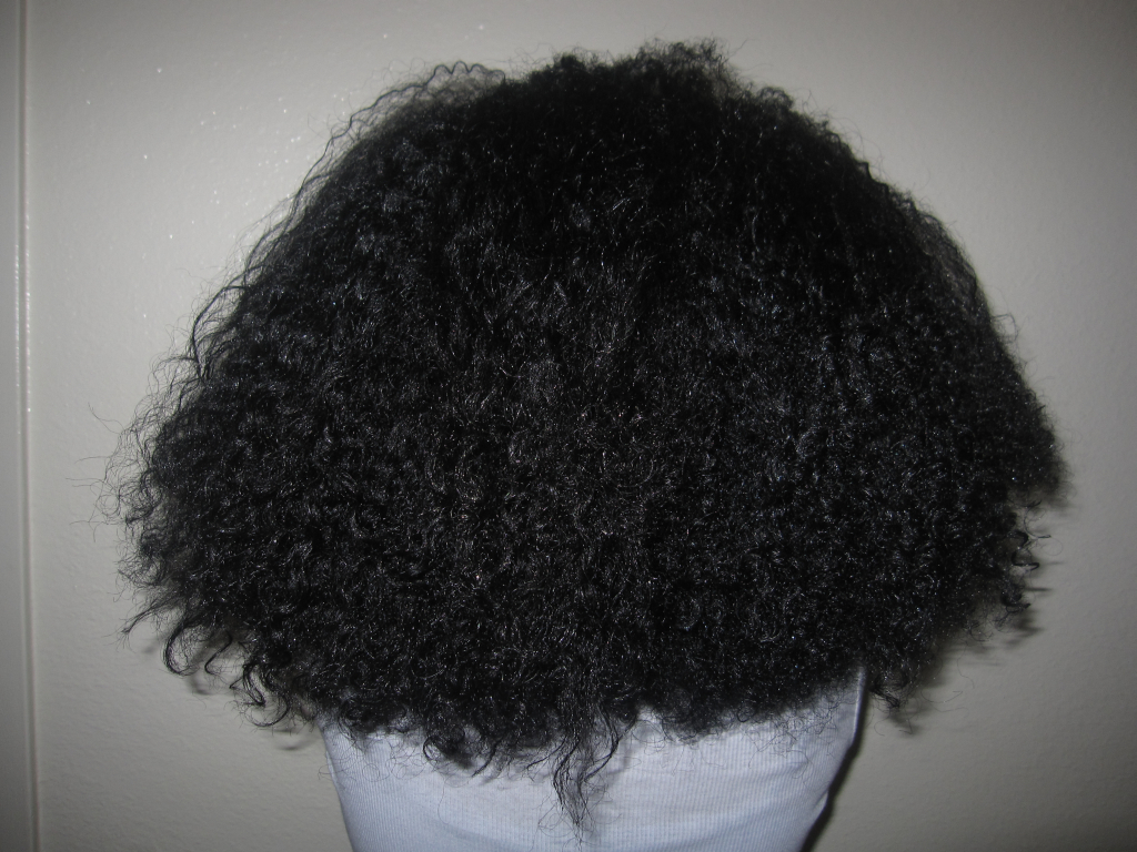 Natural+Hair+Back.jpg