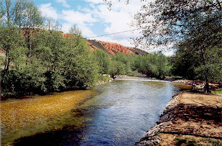 Río Duerna, rico en Ajomate. Image: Wikipedia