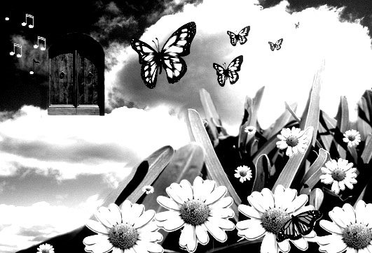 Butterfly Dreaming is lovely