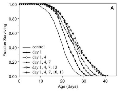 Hormesis: heat shocks and lifespan in roundworms