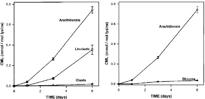 AGE formation from glucose and lipids