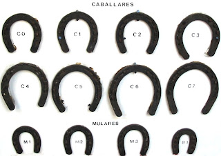 Talabarteria wiploo.: HERRADURAS.