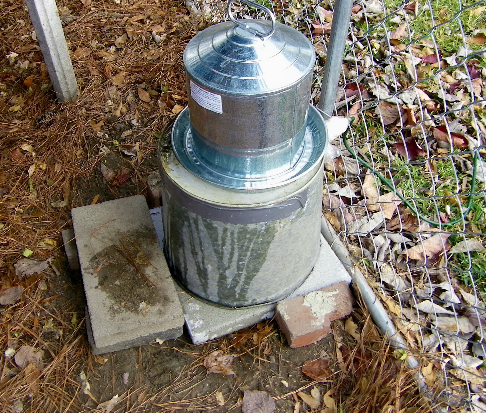 PRACTICAL PARSIMONY Water Heater for Hens' Watertutorial