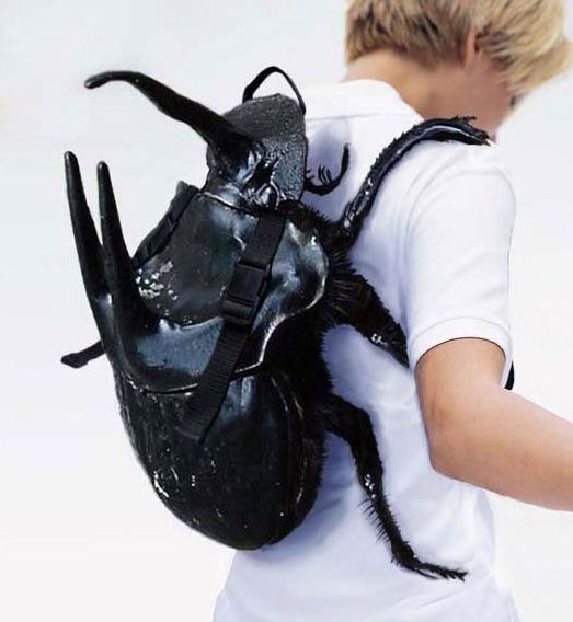 [beetle+backpack.jpg]