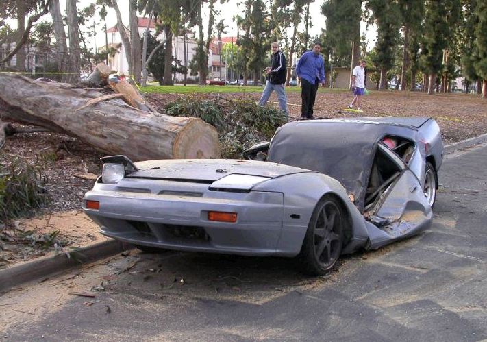 [+tree+squashes+car.jpg]