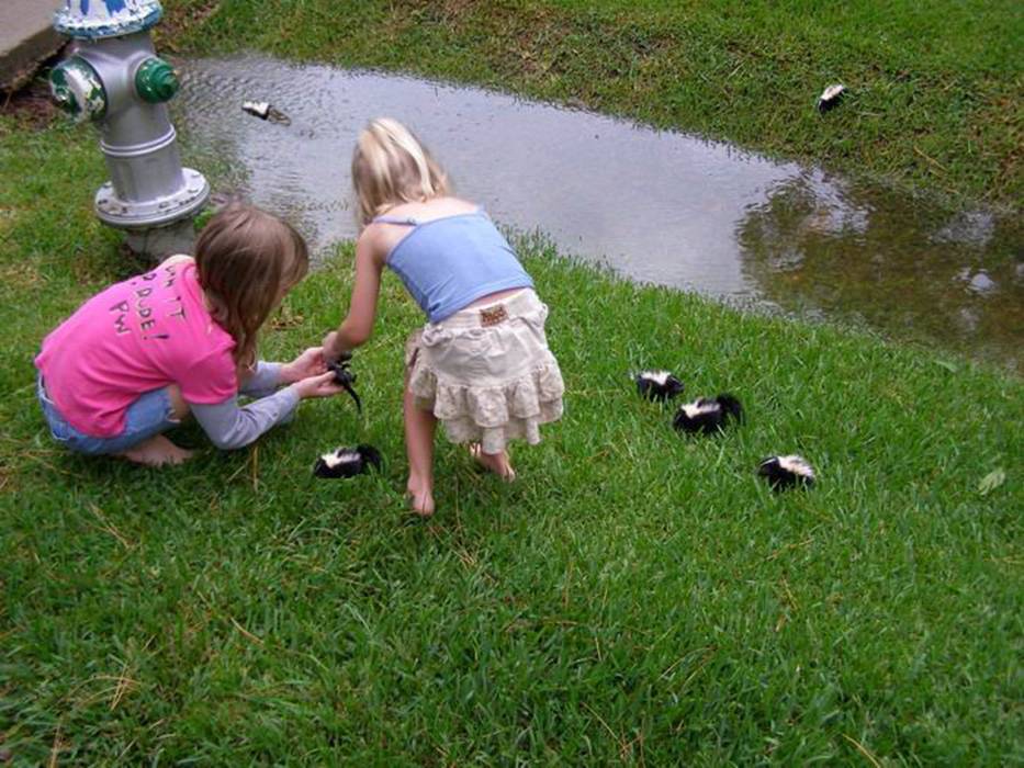 [+playing+with+kittie+cats.jpg]