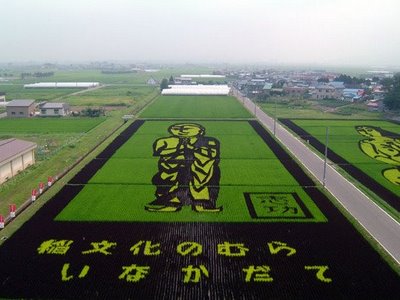 [rice+field+art+top.jpg]