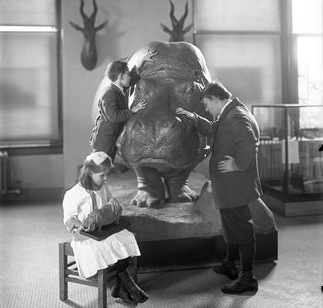 [blind+children+and+hippo.jpg]