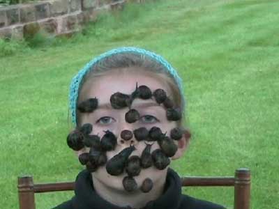 [Snails+on+face.jpg]