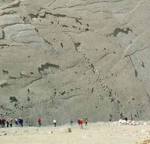 [dinosaur+tracks.jpg]