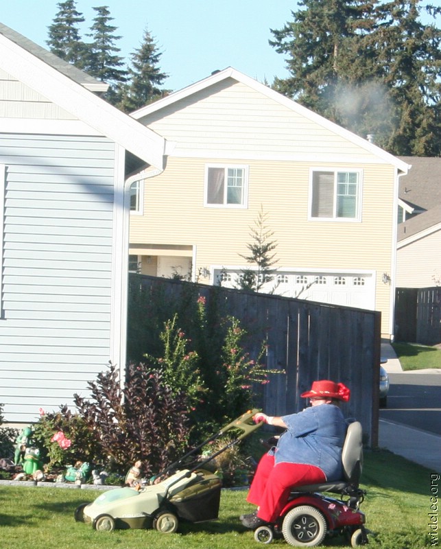 [mowing+the+lawn.jpg]