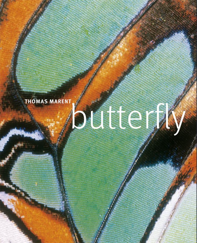 [Marent+Butterfly+book+cover.jpg]