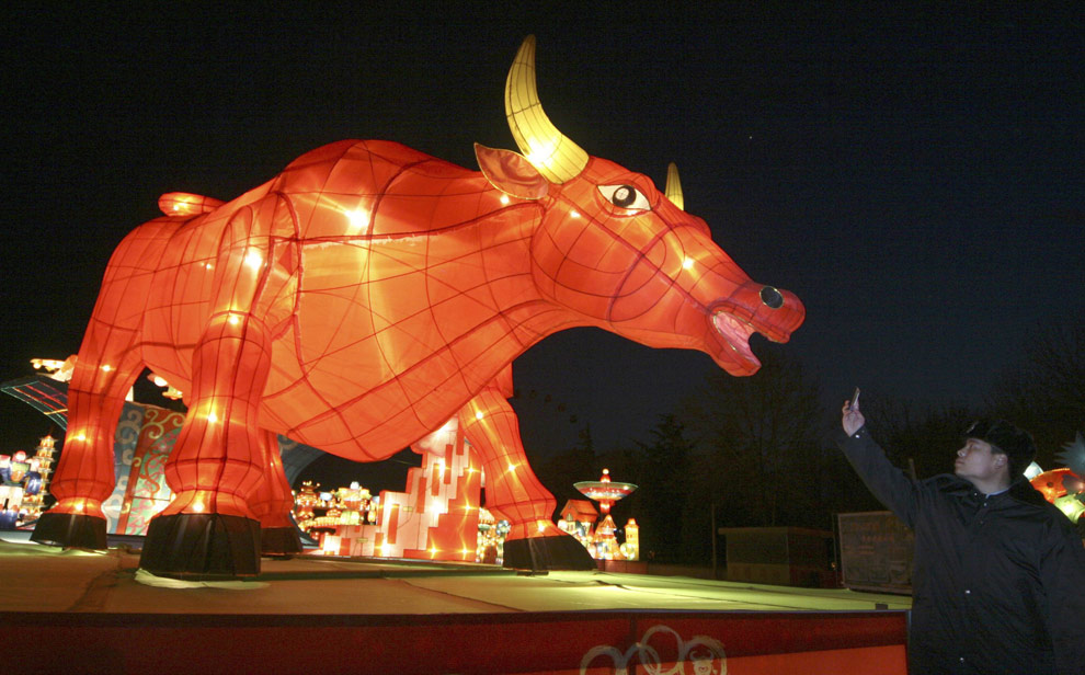 [Chinese+New+Year+bottom.jpg]