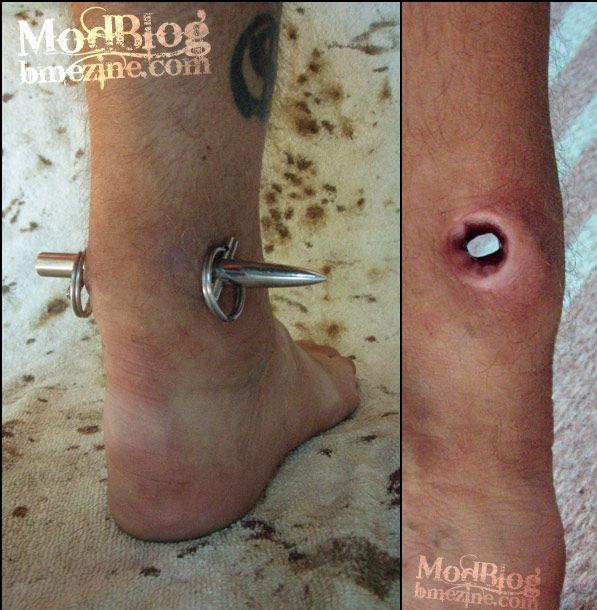 [body+modification.jpg]